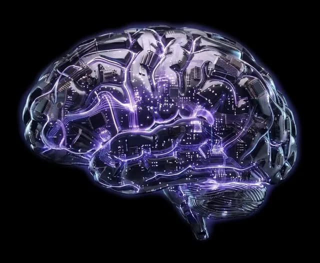 The Paid Ads Brain, lit in its own colour