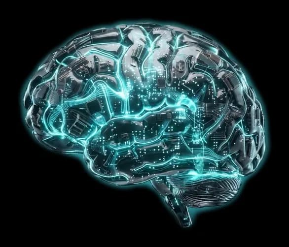 The Email Marketing Brain, lit in its own colour