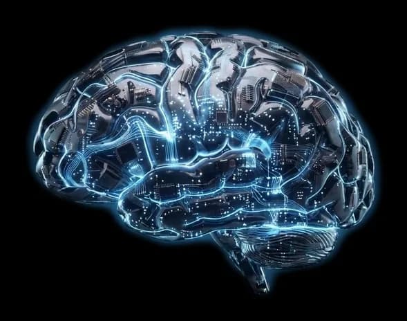 The Local SEO Brain, lit in its own colour