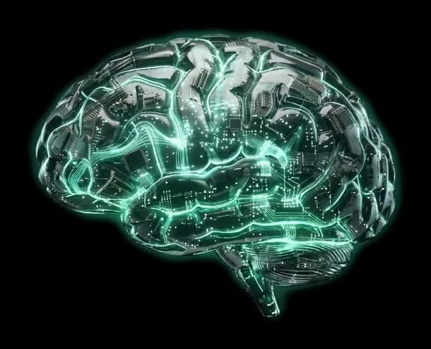 The Sales Brain, lit in its own colour